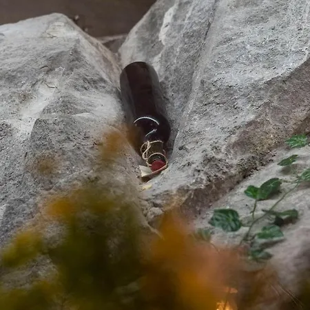 Pulpudeva Family Plovdiv