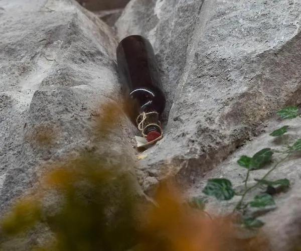 Pulpudeva Family Plowdiw