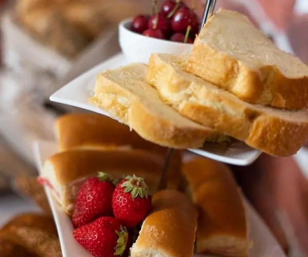 Pulpudeva Family 普罗夫迪夫